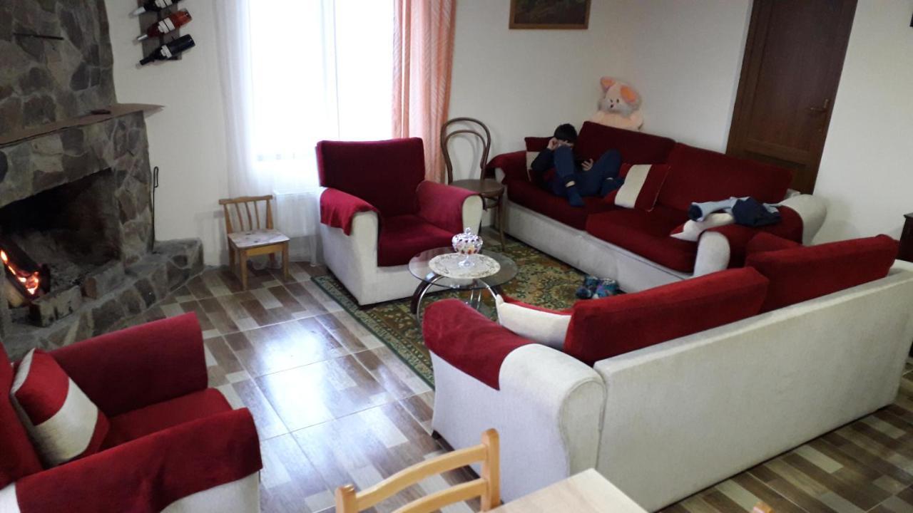 Guesthouse Zaqara Borjomi Exterior photo
