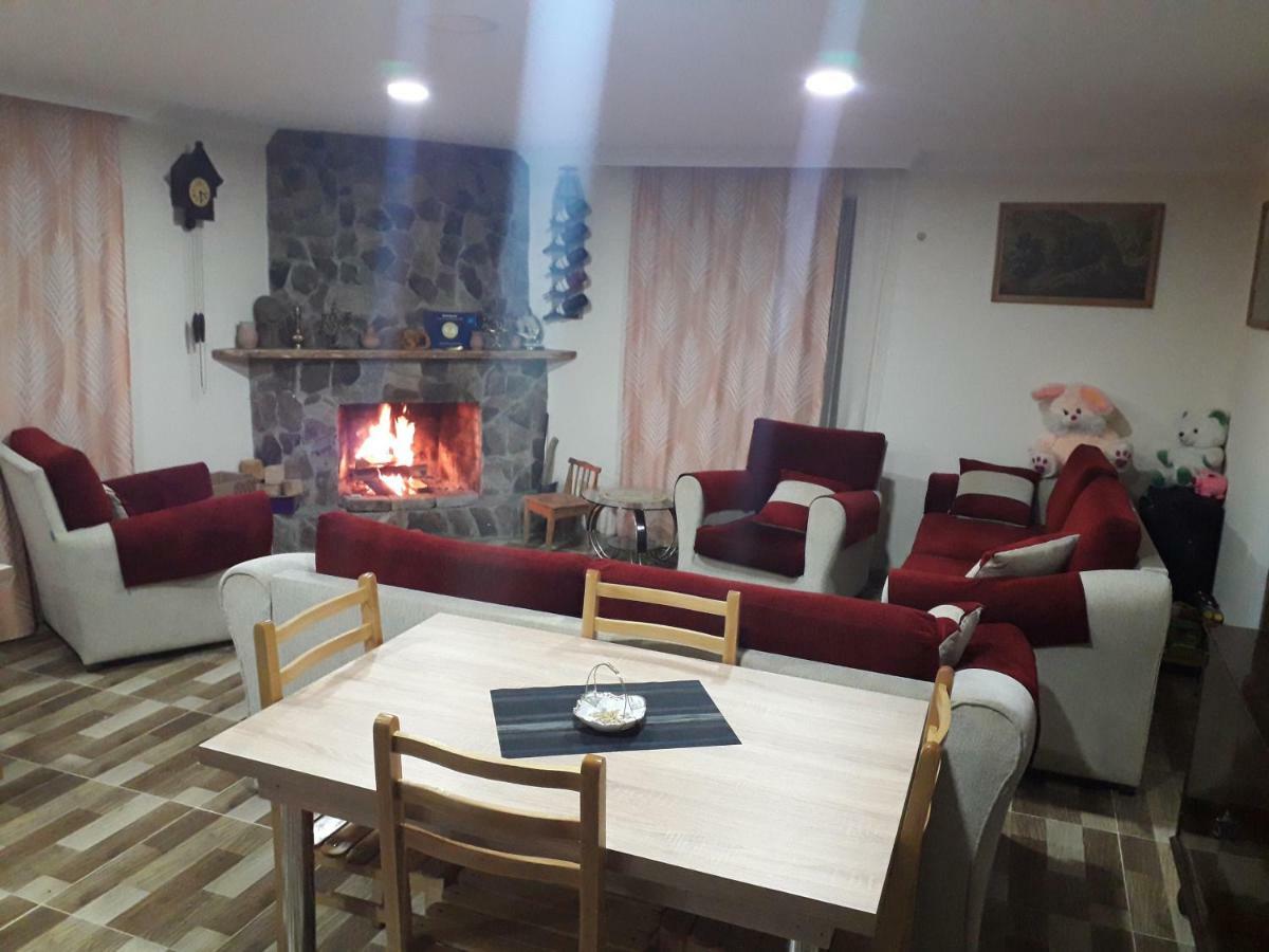 Guesthouse Zaqara Borjomi Exterior photo