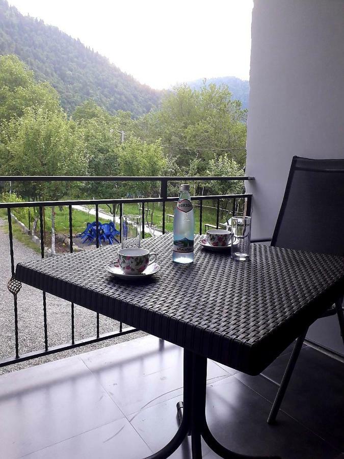 Guesthouse Zaqara Borjomi Exterior photo